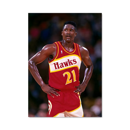 Poster Dominique wilkins 59271