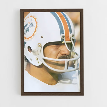 ap-don shula-5 cadre Bois foncé