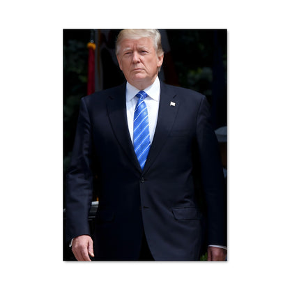 Poster The Businessman