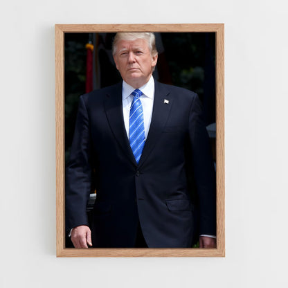 ap-donald trump-6 cadre Bois clair