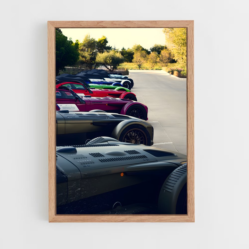 ap-donkervoort-1 cadre Bois clair