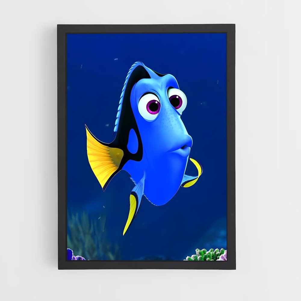 ap-dory-3 cadre Noir