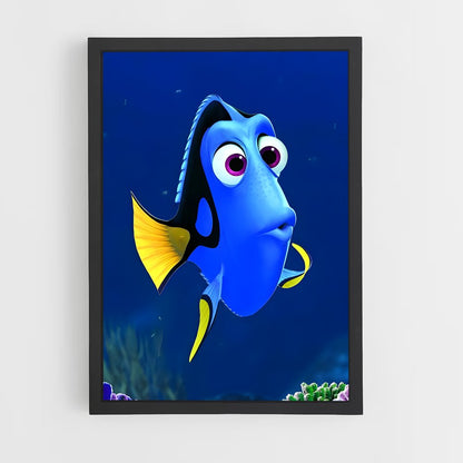 ap-dory-3 cadre Noir
