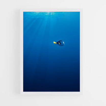 ap-dory-8 cadre Blanc