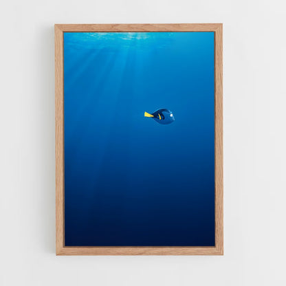 ap-dory-8 cadre Bois clair