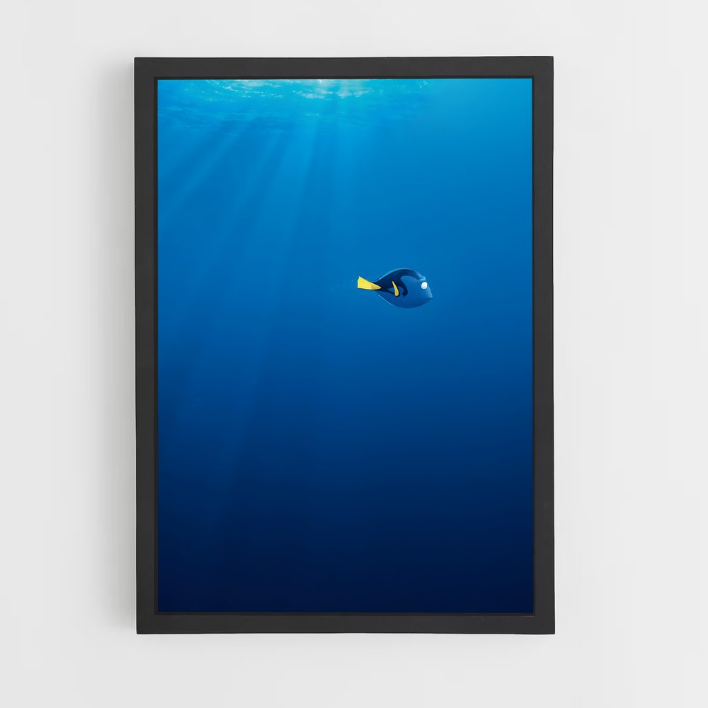 ap-dory-8 cadre Noir