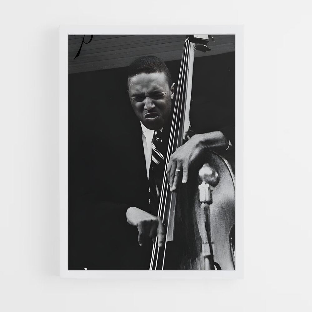 ap-double bass-3 cadre Blanc