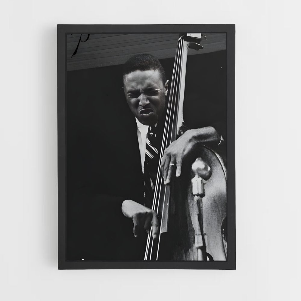 ap-double bass-3 cadre Noir