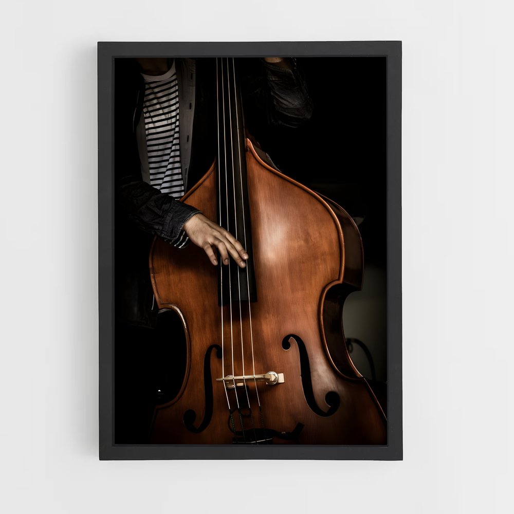 ap-double bass-4 cadre Noir