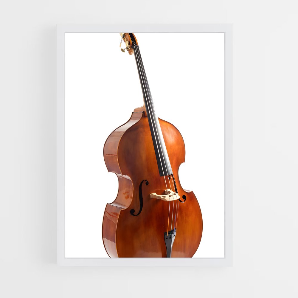 ap-double bass-6 cadre Blanc