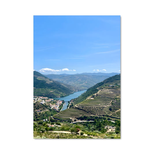 Poster Vignes Éternelles