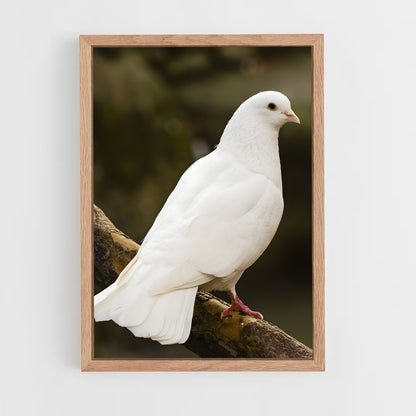 ap-dove-1 cadre Bois clair
