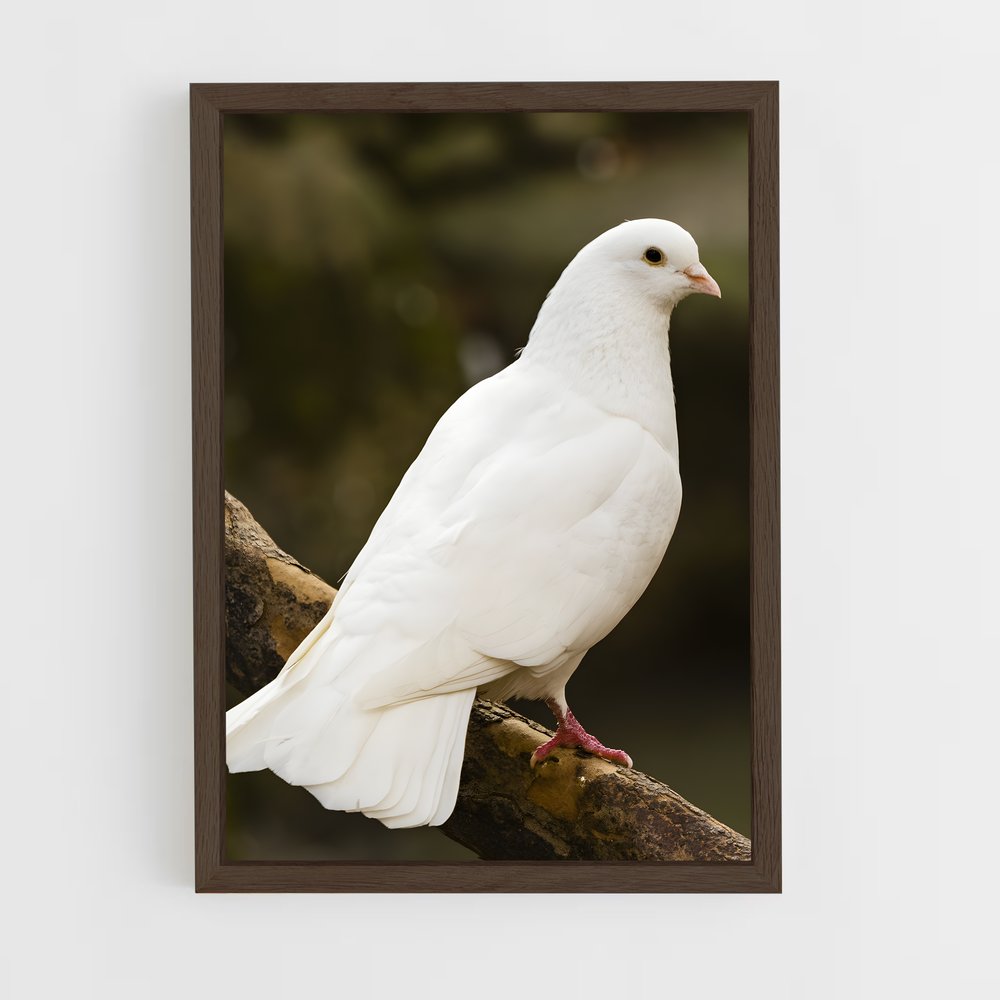 ap-dove-1 cadre Bois foncé