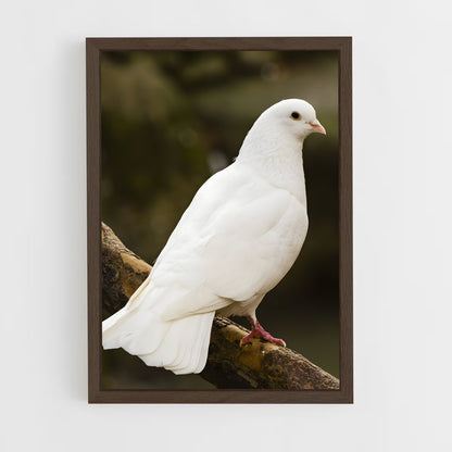 ap-dove-1 cadre Bois foncé