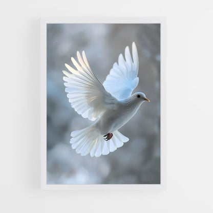 ap-dove-10 cadre Blanc