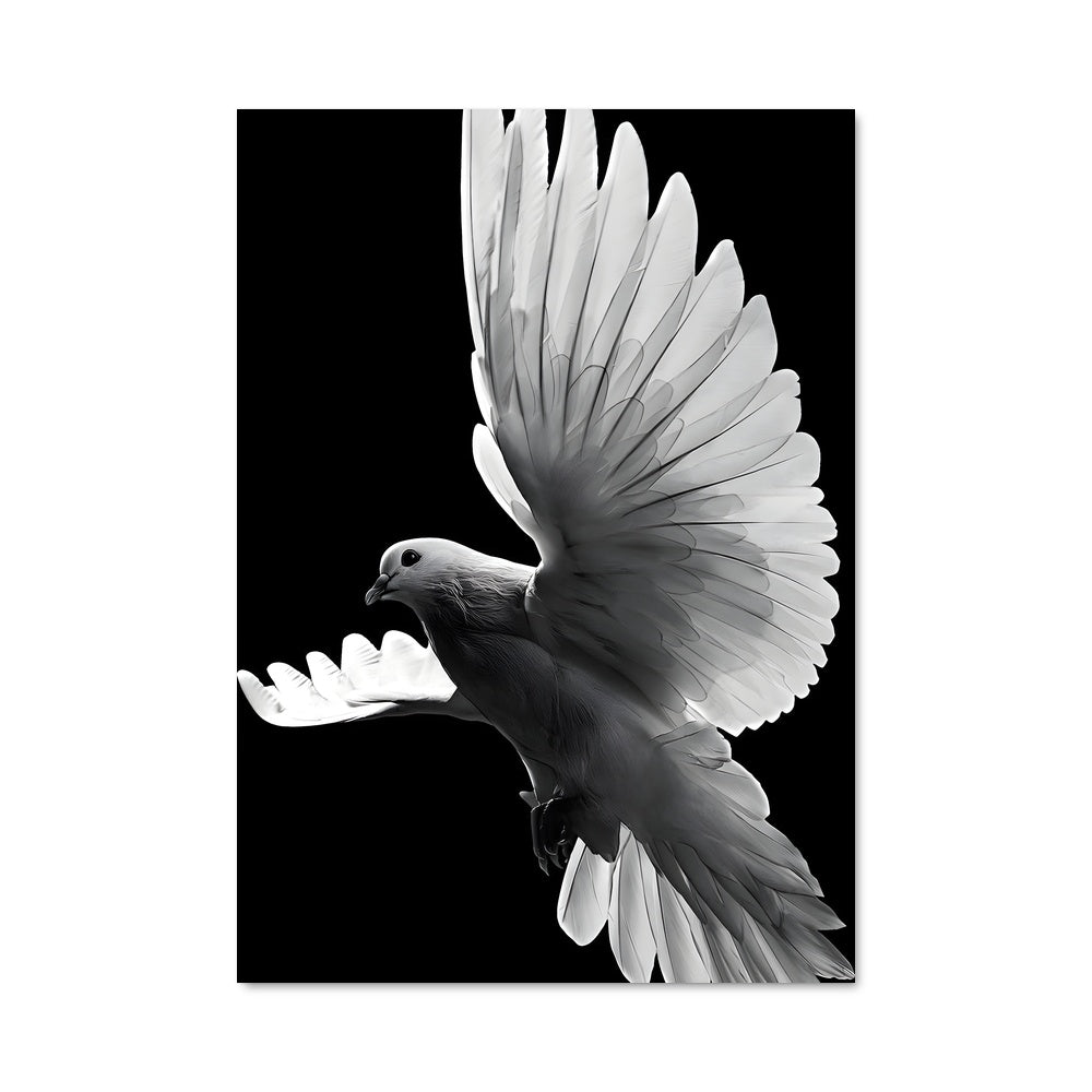 Poster Dove 83462