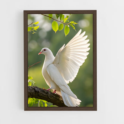 ap-dove-2 cadre Bois foncé