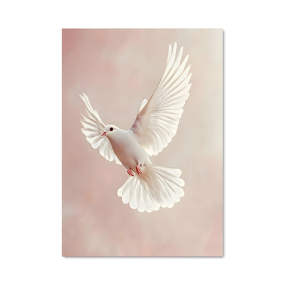 Poster Vol de Paix