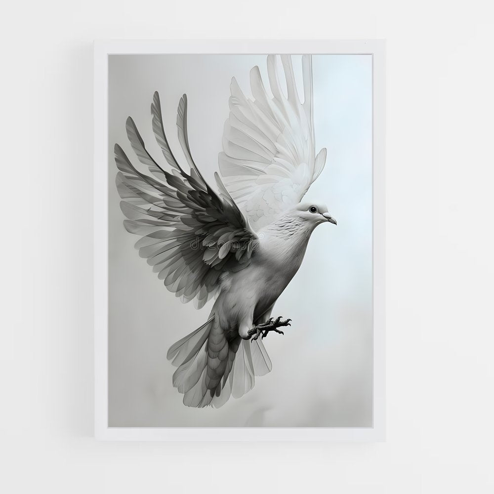 ap-dove-5 cadre Blanc