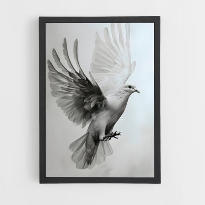 ap-dove-5 cadre Noir