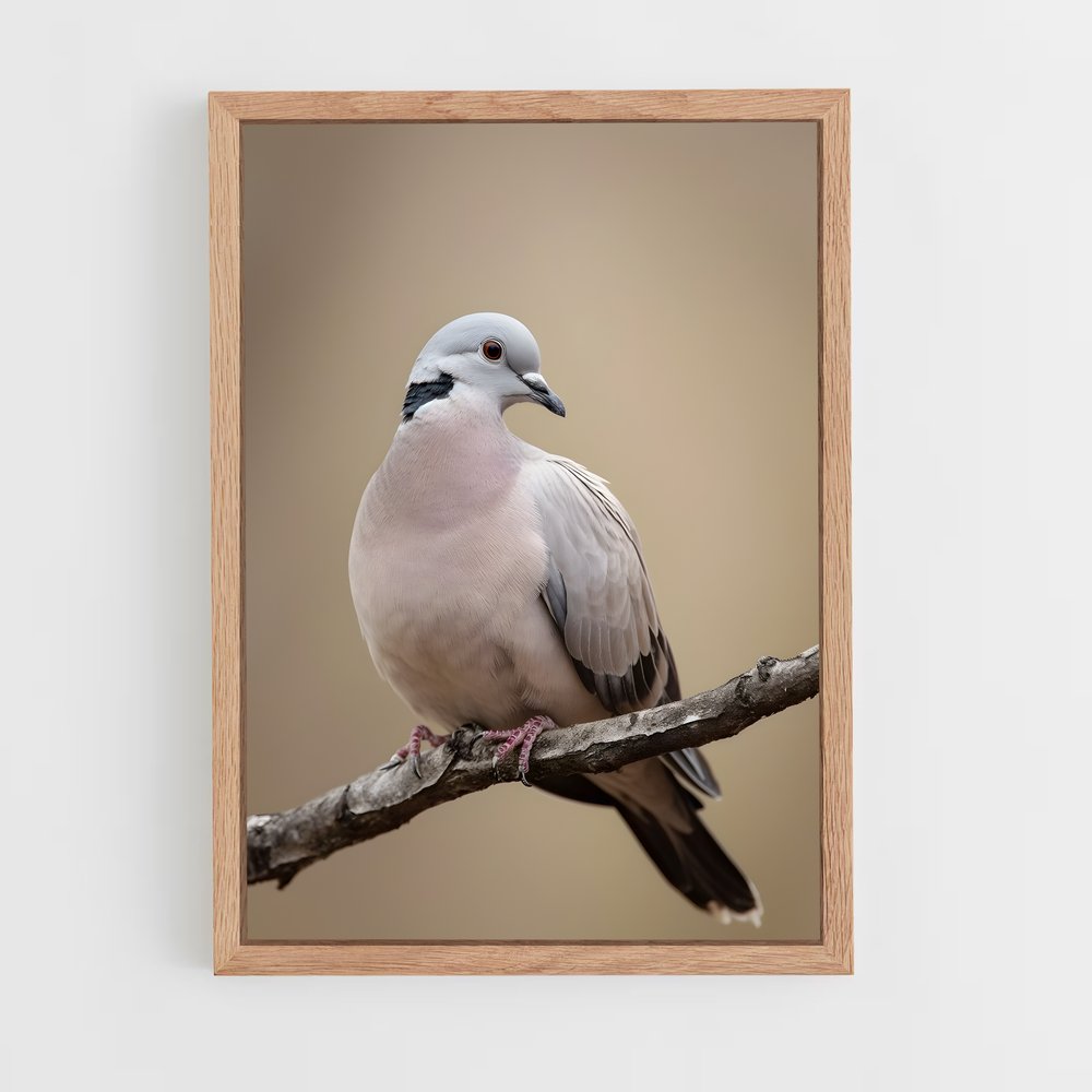 ap-dove-6 cadre Bois clair