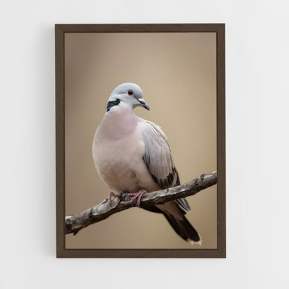 ap-dove-6 cadre Bois foncé