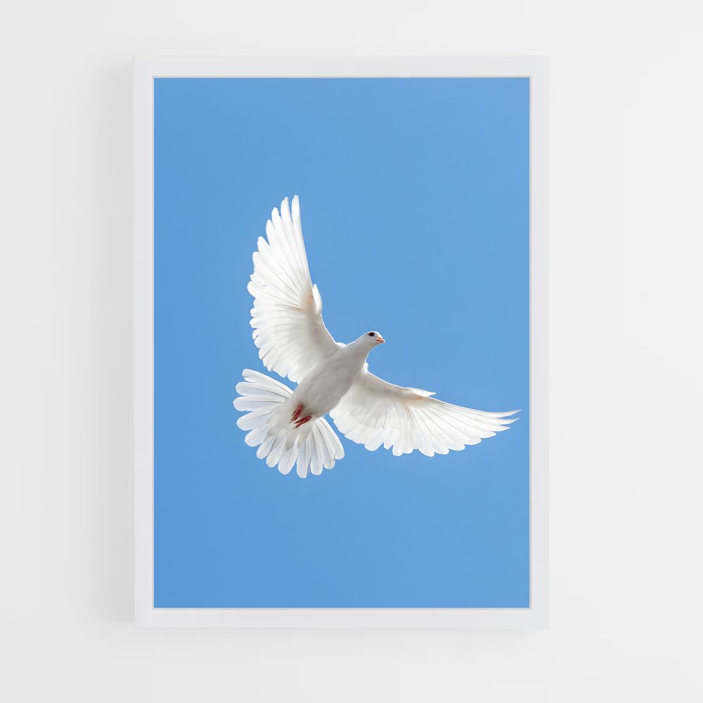 ap-dove-7 cadre Blanc