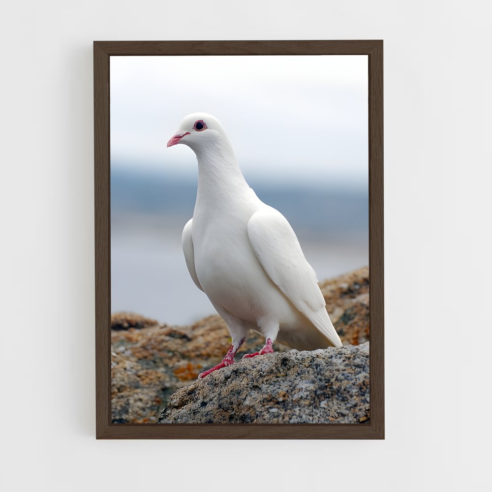 ap-dove-8 cadre Bois foncé