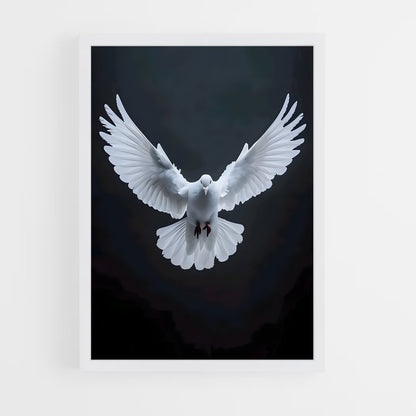 ap-dove-9 cadre Blanc