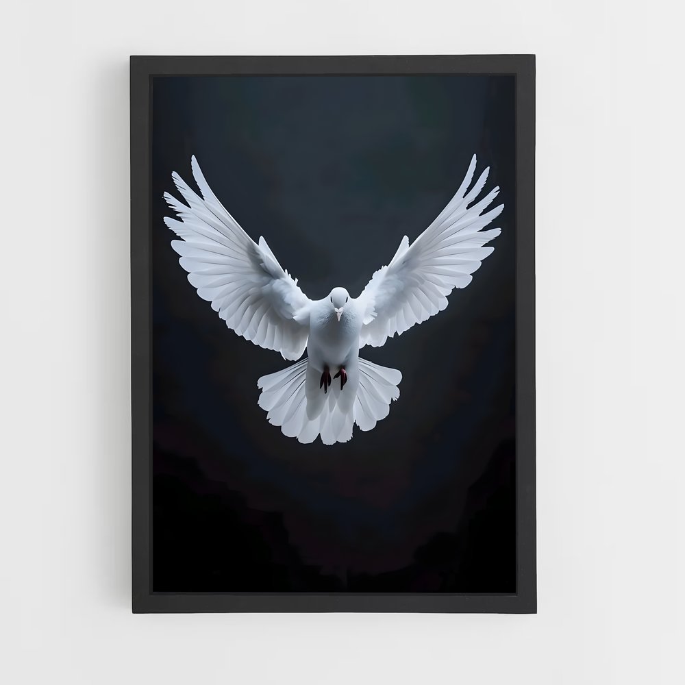 ap-dove-9 cadre Noir