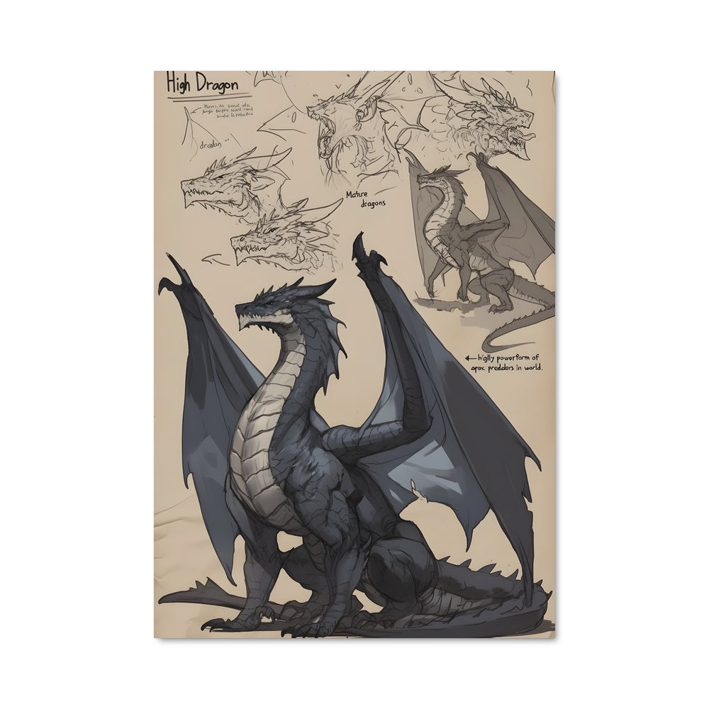 Poster Choreographie Draconique