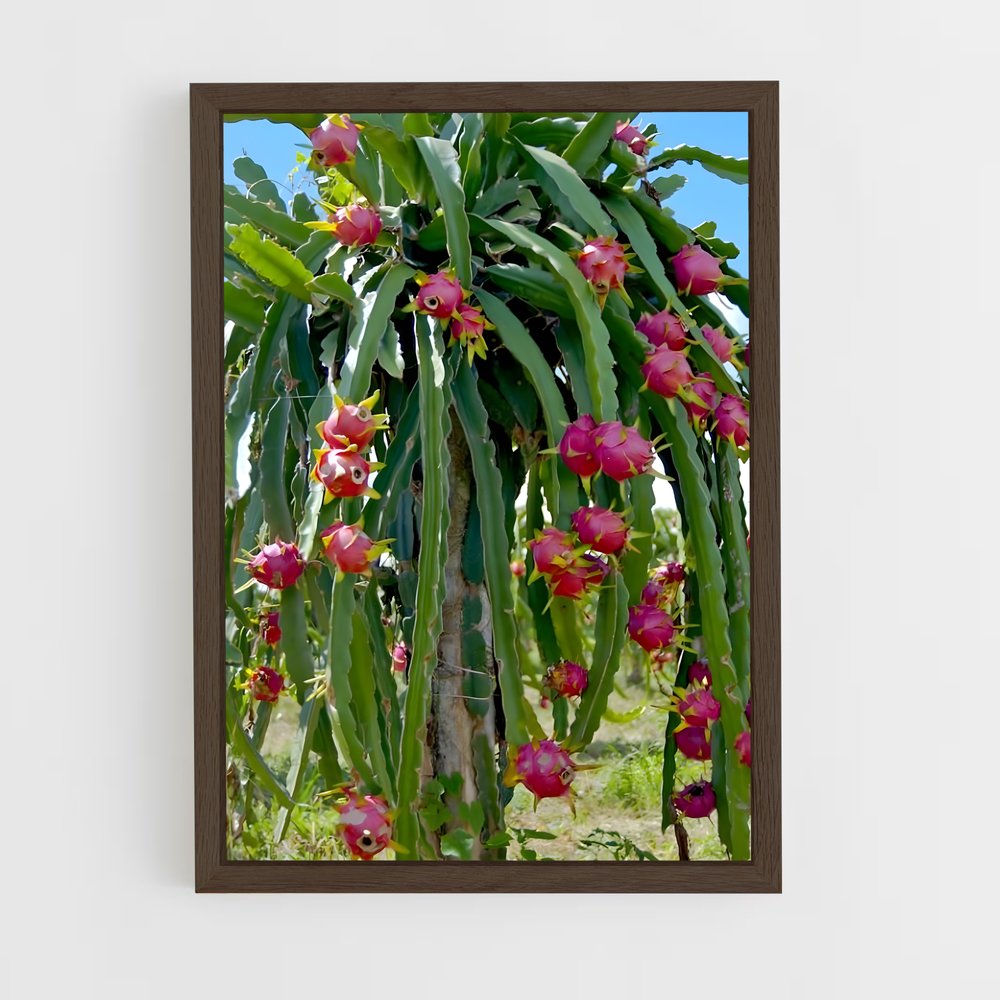 ap-dragon fruit-5 cadre Bois foncé