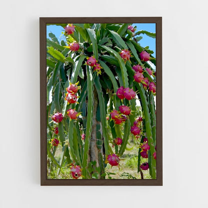ap-dragon fruit-5 cadre Bois foncé