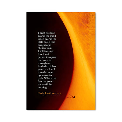Poster La Voie des Étoiles