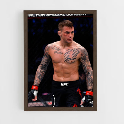 ap-dustin poirier-10 cadre Bois foncé