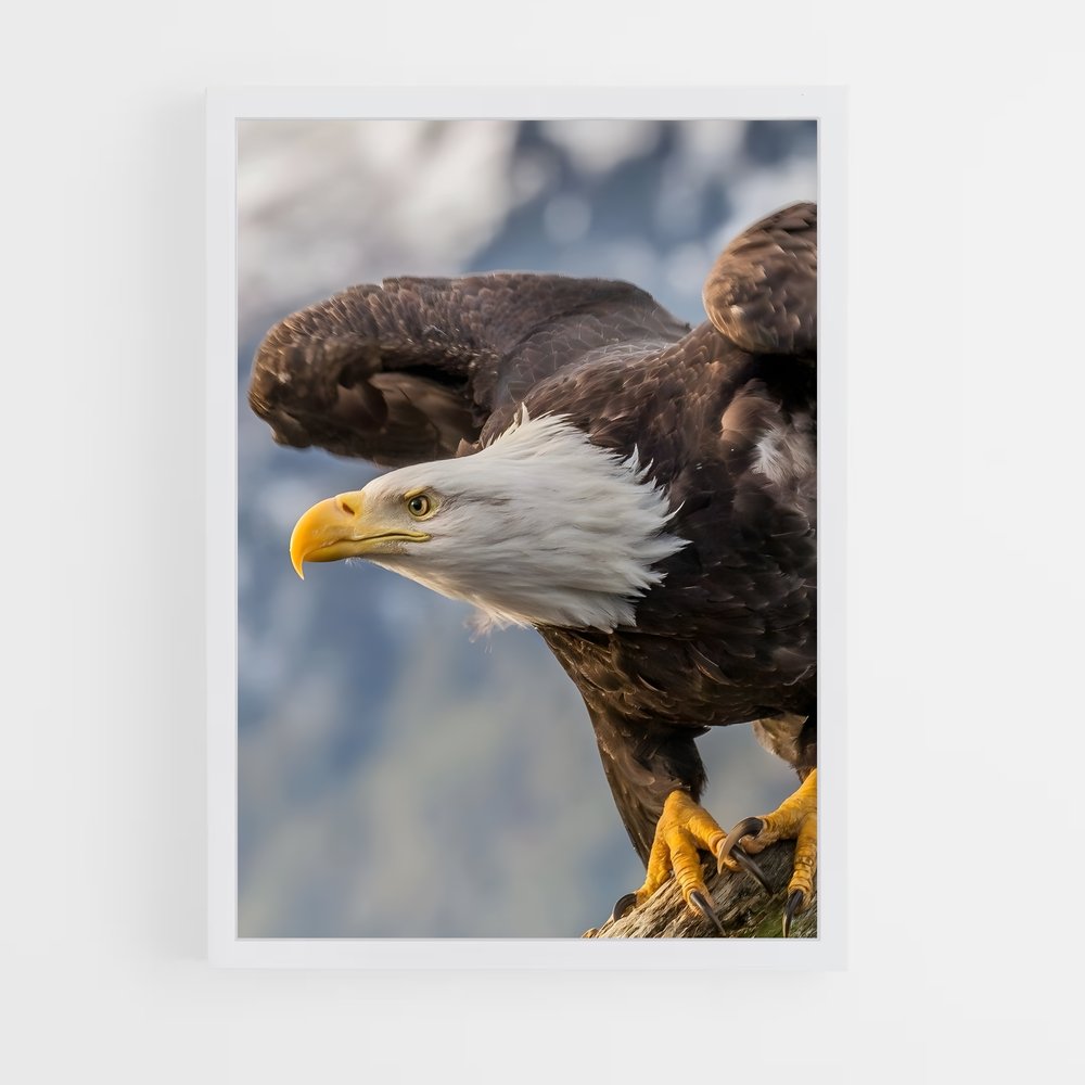 ap-eagle-1 cadre Blanc