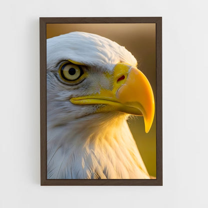 ap-eagle-8 cadre Bois foncé