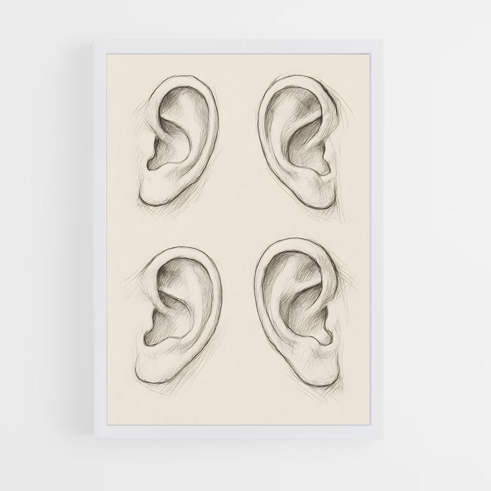 ap-ear-1 cadre Blanc