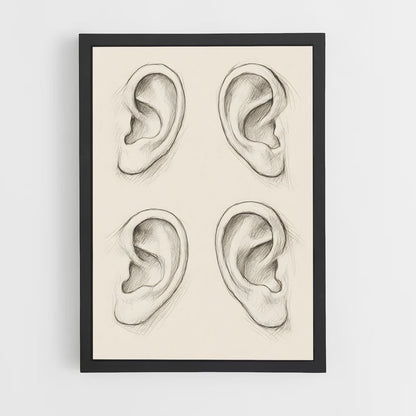ap-ear-1 cadre Noir