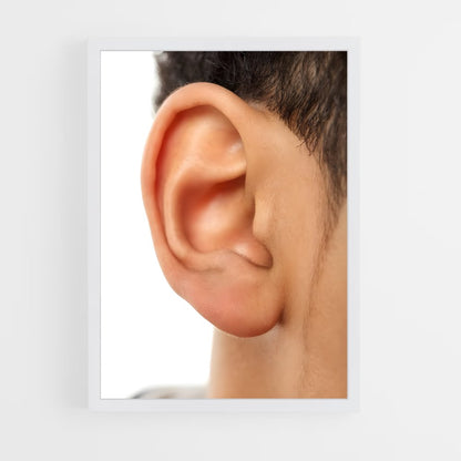 ap-ear-2 cadre Blanc