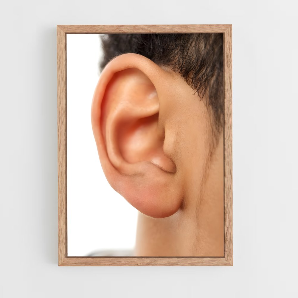 ap-ear-2 cadre Bois clair