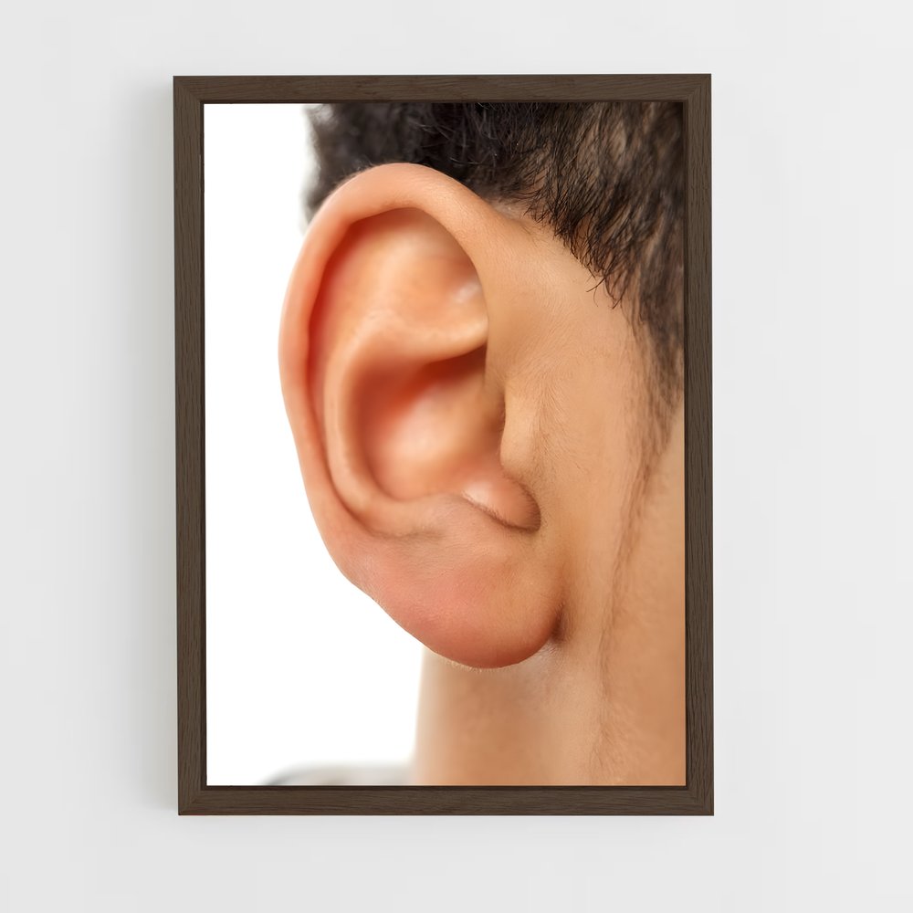 ap-ear-2 cadre Bois foncé