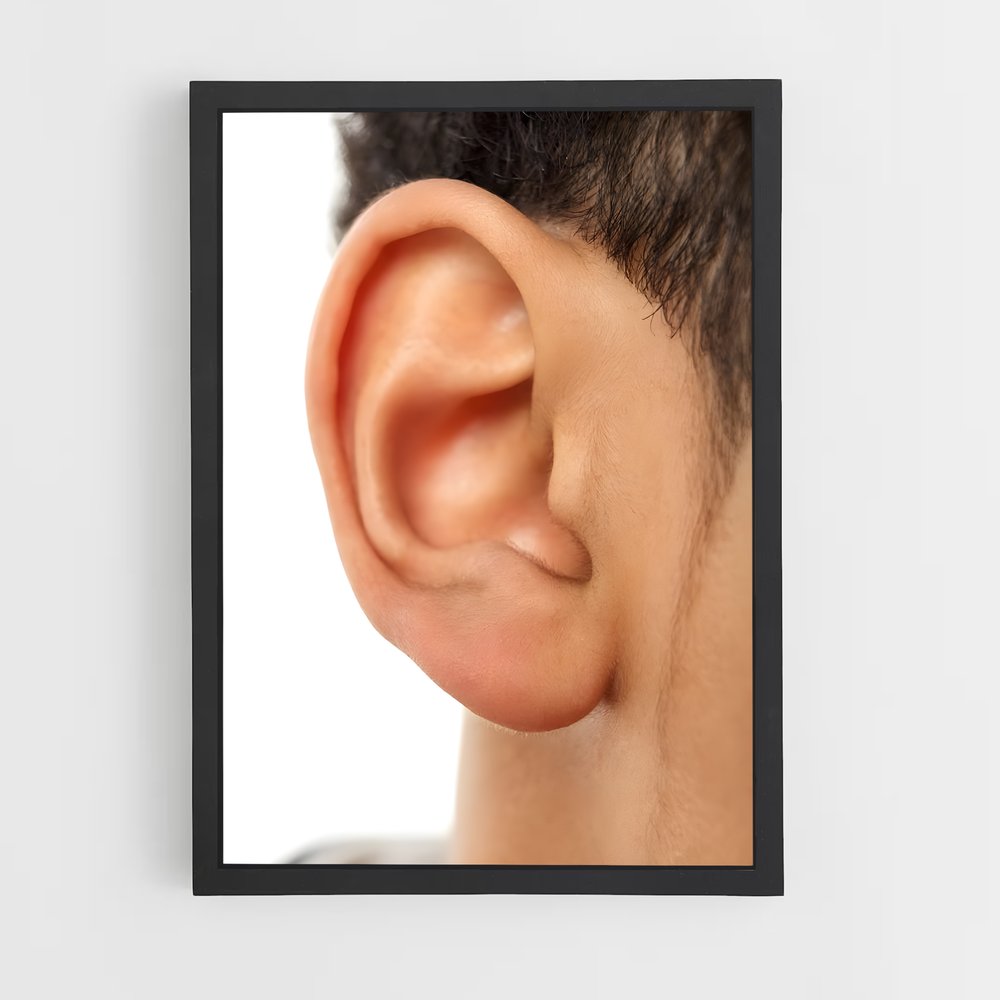 ap-ear-2 cadre Noir