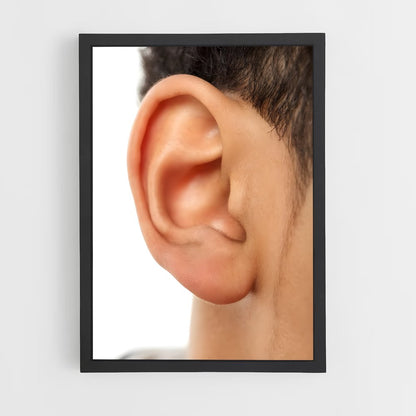 ap-ear-2 cadre Noir