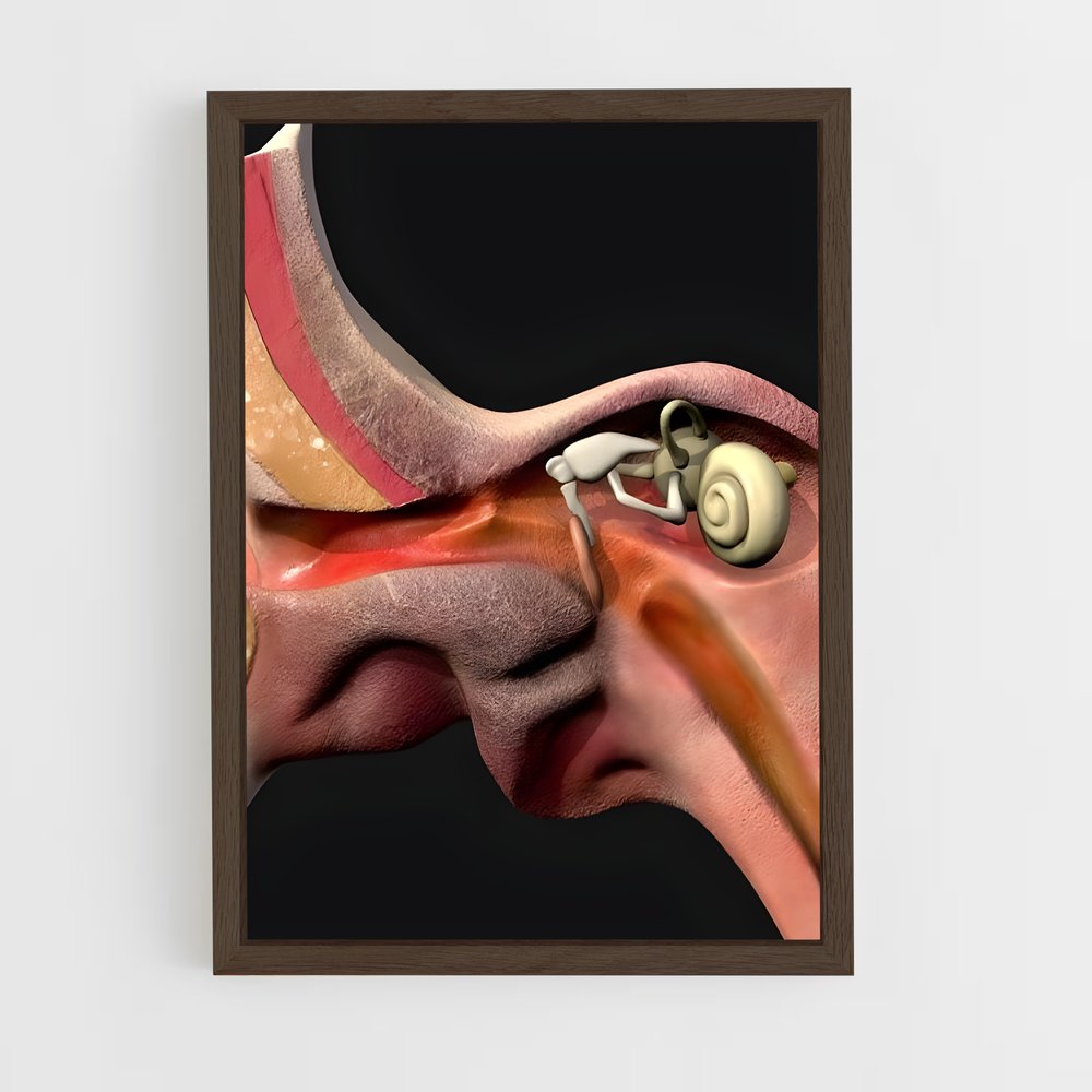 ap-ear-3 cadre Bois foncé