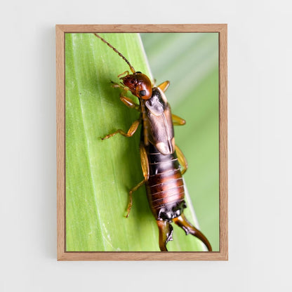 ap-earwig-1 cadre Bois clair