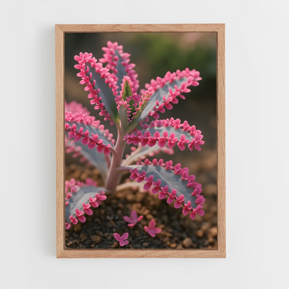 ap-echeveria-1 cadre Bois clair