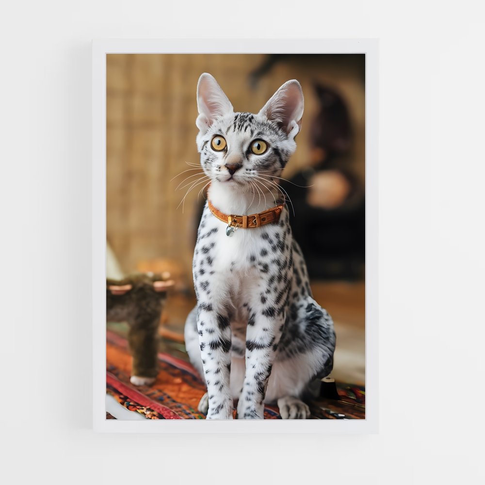 ap-egyptian mau-1 cadre Blanc
