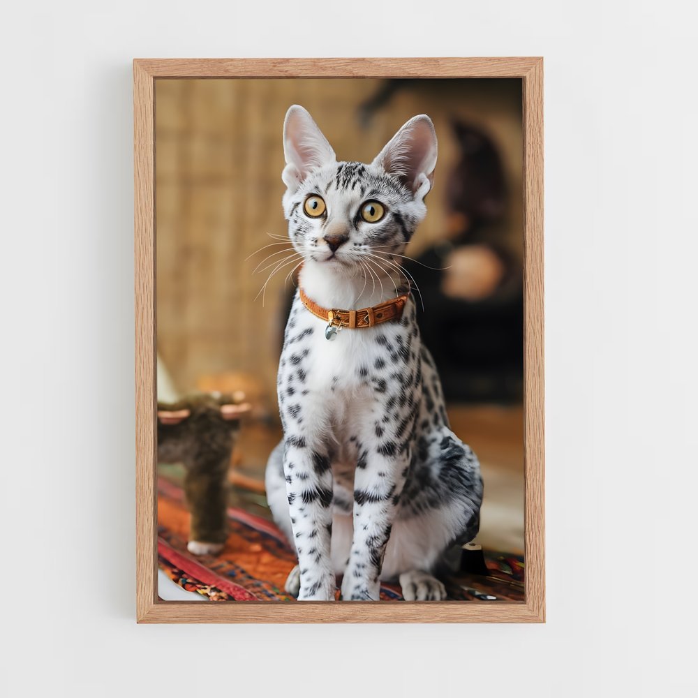 ap-egyptian mau-1 cadre Bois clair