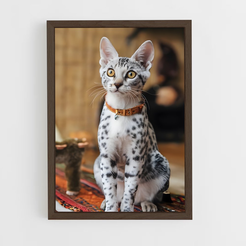 ap-egyptian mau-1 cadre Bois foncé